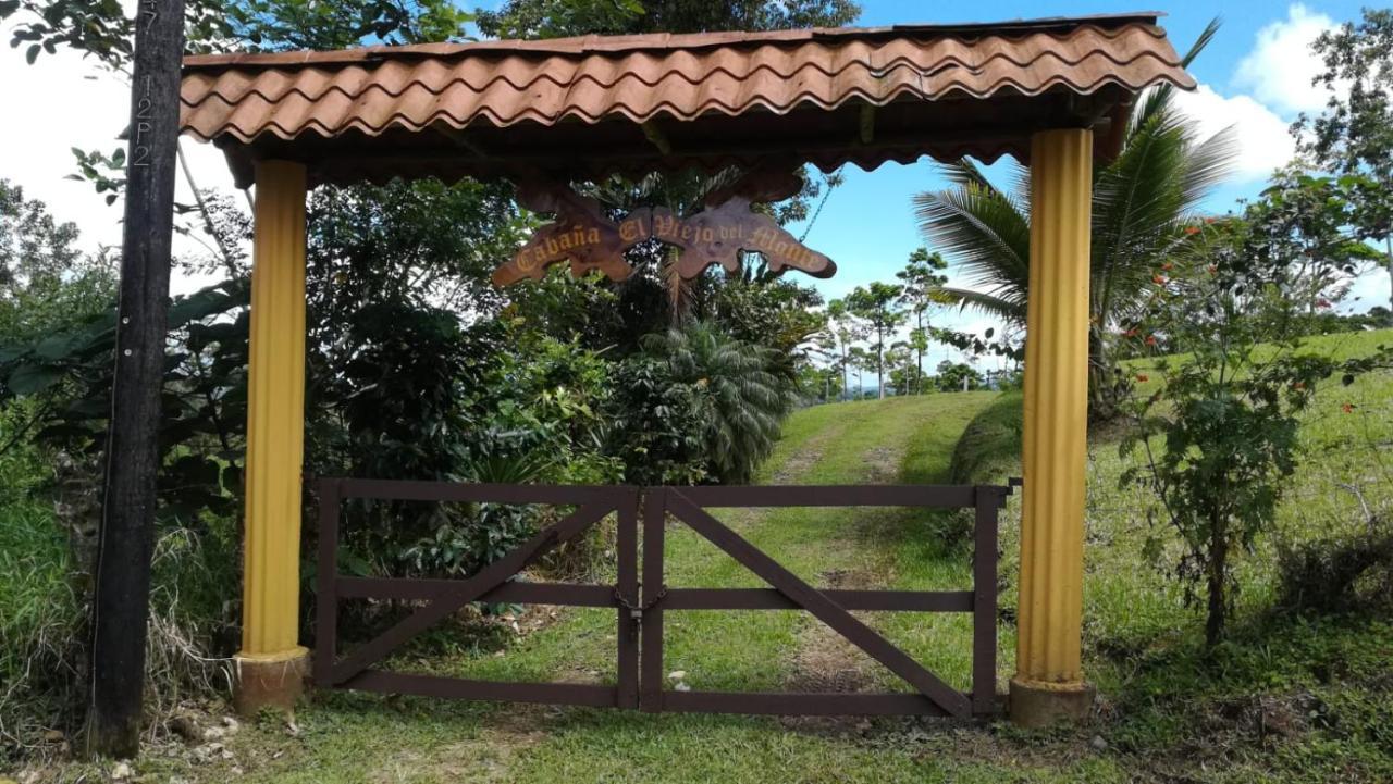 Cabana El Viejo Del Monte Venecia Eksteriør bilde